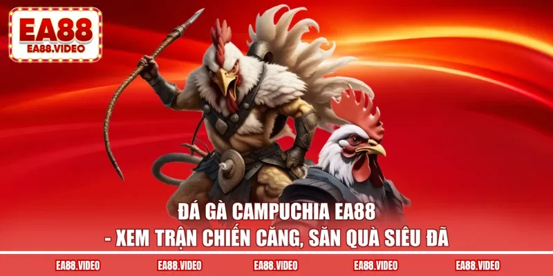 Đá Gà Campuchia EA88 - Trận Đấu Căng, Săn Quà Siêu Đã