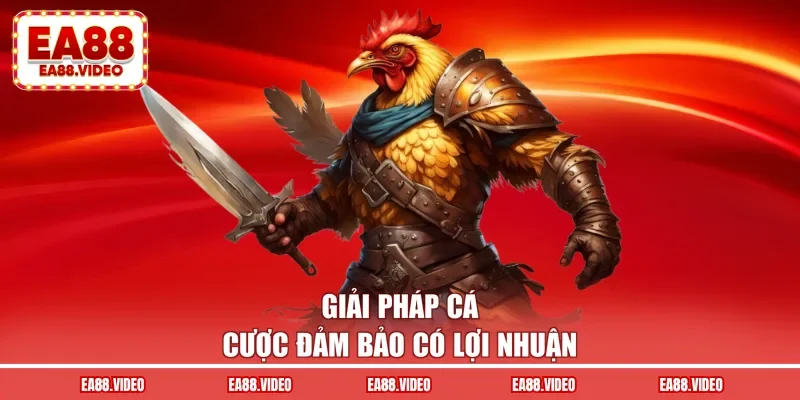 Giải pháp cá cược đảm bảo có lợi nhuận