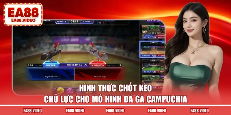 Hình thức chốt kèo chủ lực cho mô hình đá gà Campuchia