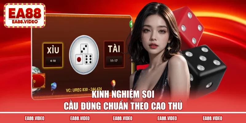 Kinh nghiệm soi cầu đúng chuẩn theo cao thủ