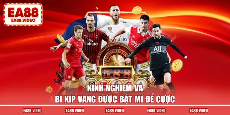 Kinh nghiệm và bí kíp vàng được bật mí để cược