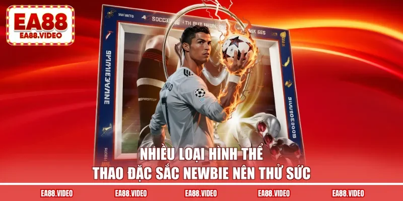 Nhiều loại hình thể thao đặc sắc newbie nên thử sức