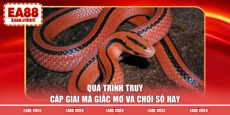 Quá trình truy cập giải mã giấc mơ và chơi số hay