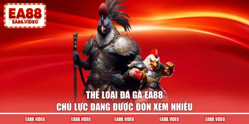 Thể loại đá gà EA88 chủ lực đang được đón xem nhiều