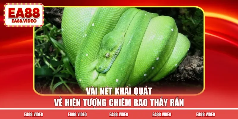 Vài nét khái quát về hiện tượng chiêm bao thấy rắn