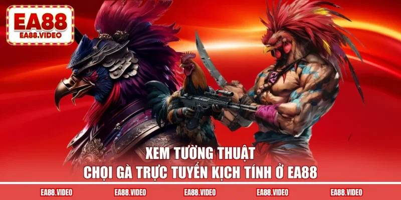 Xem tường thuật chọi gà trực tuyến kịch tính ở EA88